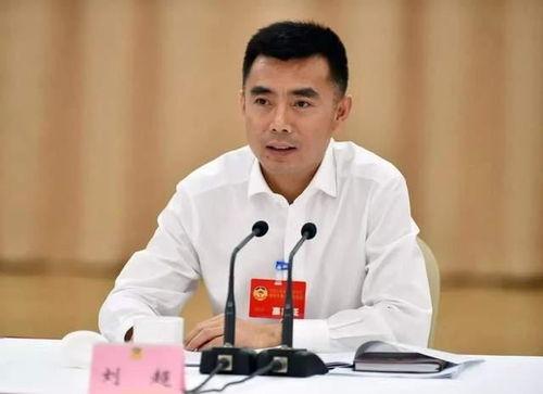 刘超的个人资料,才华横溢的青年才俊，多领域成就斐然