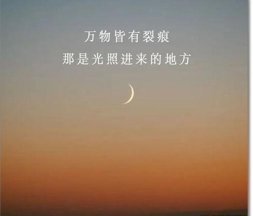 一切皆有可能图片,一切皆有可能的奇幻之旅